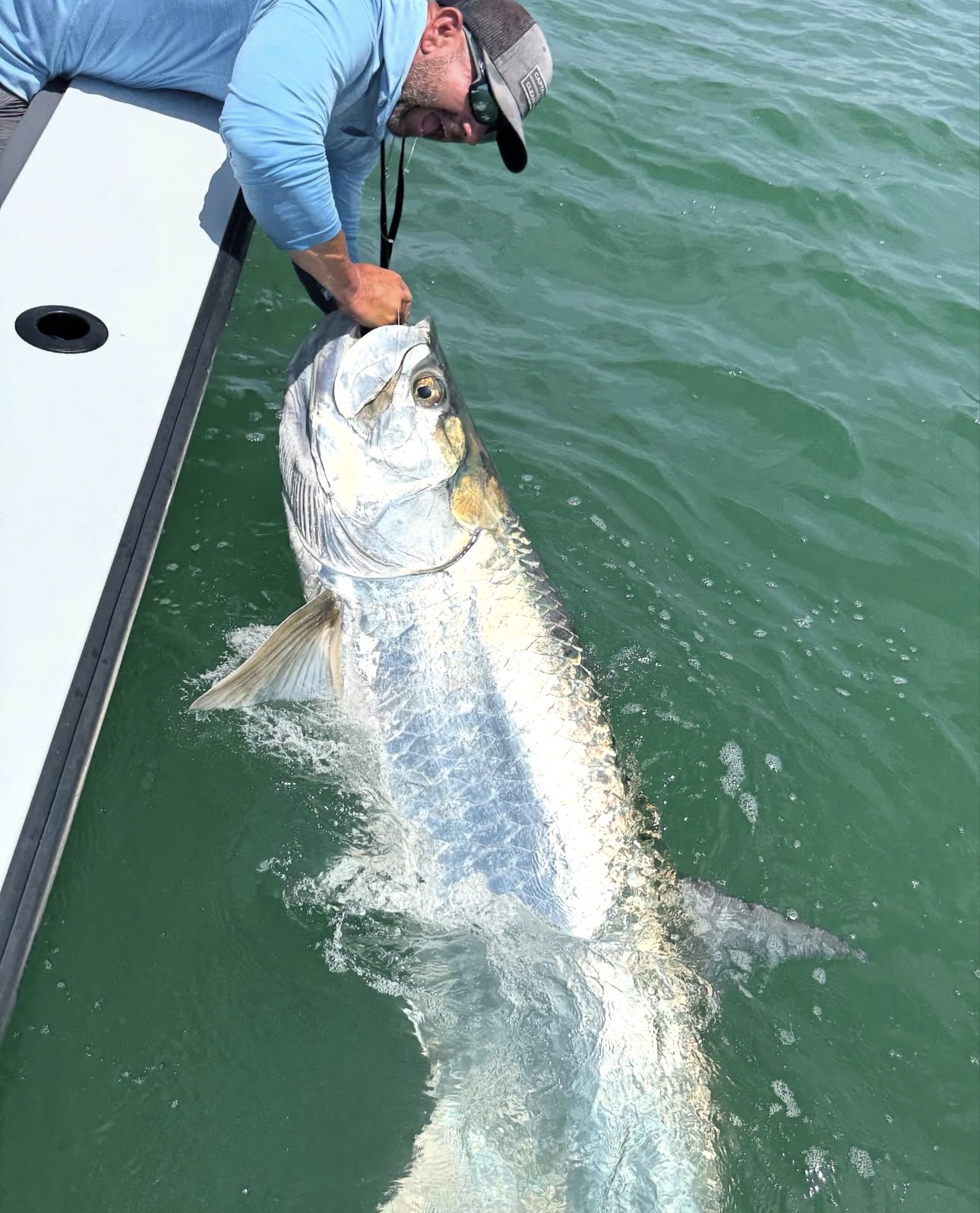 Tarpon released boatside on a Southwest Florida charter